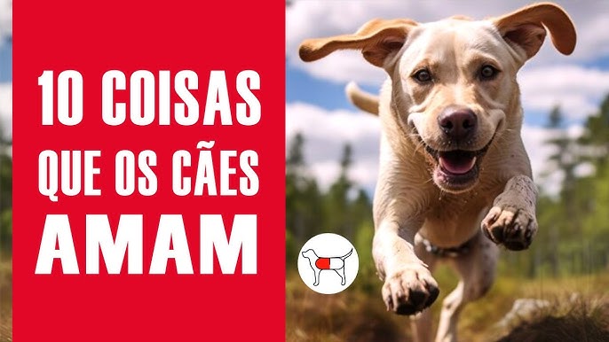 100 Nomes para GATOS LARANJAS e AMARELOS - Ideias e Significados