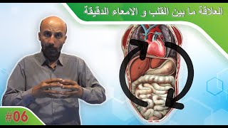 العلاقة ما بين القلب و الامعاء الدقيقة