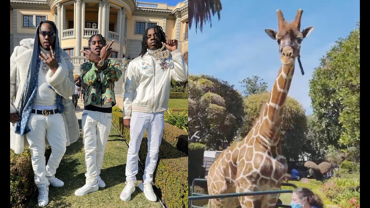 Fivio Foreign Lil Tjay & Polo G Buy A Giraffe To Put In Their