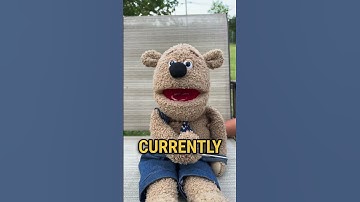 Day:31 of me shouting out MrBeast until I get 10k Subscribers  #comment #puppet #fup #mrbeast #10k