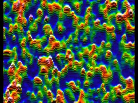 Honey Claws - Digital Animal