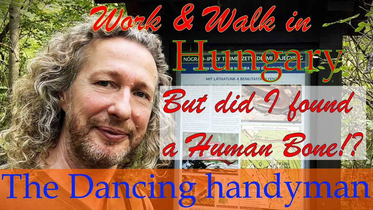 Нашел ли я человеческую кость?