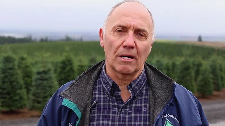 Tour of an Oregon Christmas tree farm