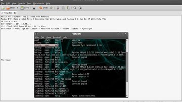 Cracking Ssh With Medusa And Hydra