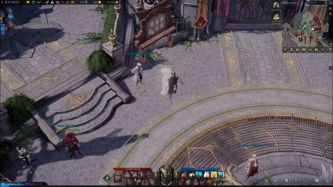 Guardian Raid Manager Seifeltz Location, Lost Ark Vern Castle YouTube