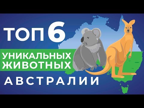 Редкие животные Австралии