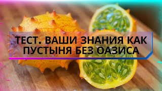 Тест. Ваши знания как пустыня без оазиса