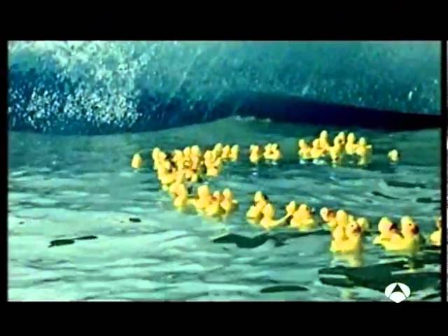 La historia de los patitos de goma 