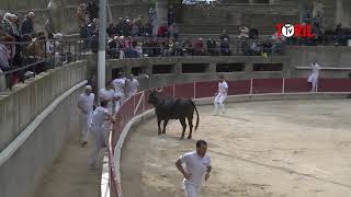 EYGUIERES (15/04/2023) - Retour en vidéo Course Camarguaise