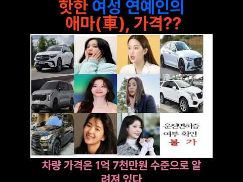 핫한 여성 연예인 애마(車), 가격????