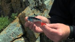 Devils Own Soft Baits screenshot 3