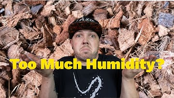 Switching To Paper Bedding | What