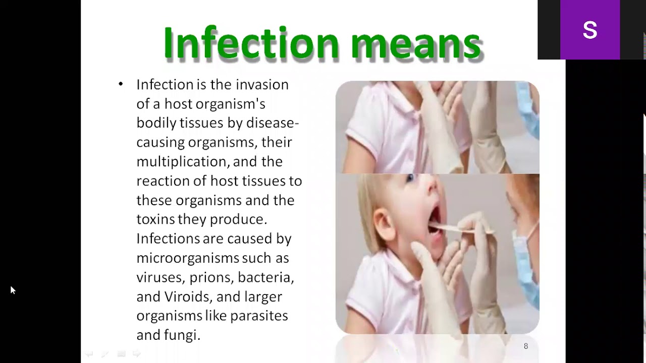 infection transmission - YouTube