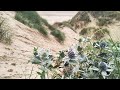 Английские дюны и МОРЕ ☺️ путешествия на мотодоме
