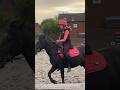 The bounciest trot ever foryou horse viral equestrian horses shorts short fyp trend yt