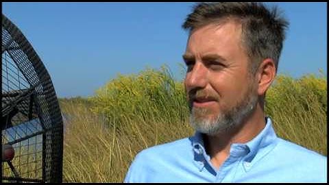 Mitigation Bank YouTube