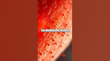 A Microdrop Diary of the Microbiome