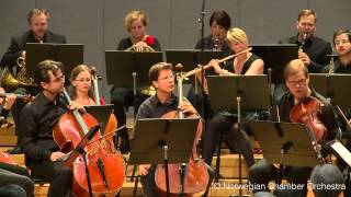 W. A. Mozart: Symphony No. 40 in g minor, K. 550, I. Molto allegro Resimi