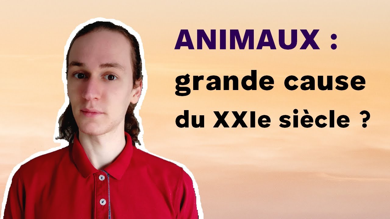 Animaux : la grande cause du XXIe siècle ? [ Conférence Noé Bugaud ]
