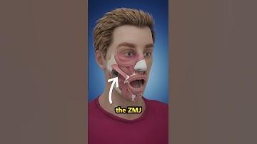 How Do Dimples Form?