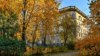 Каменноостровский проспект от начала до конца. Осень. СПб. Kamennoostrovsky prospect St Petersburg