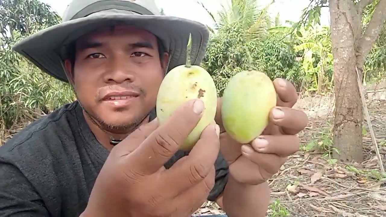 11 มีนาคม ค.ศ. 2026