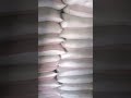#music