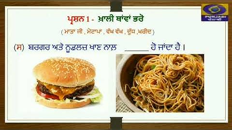 ਜਮਾਤ - ਤੀਸਰੀ | ਪਾਠ - 10 ਪਰਿਵਾਰ ਅਤੇ ਜਾਨਵਰ | ਅਭਿਆਸੀ ਪ੍ਰਸ਼ਨ | ਅਸੀਮ ਮਿੱਡਾ ( ਸ.ਪ.ਸ ਪੱਕਾ ਕਲਾਂ ਬਰਾਂਚ ) |