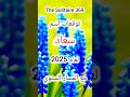 توقعات اسم سعاد لعام 2025 مع المسار السنوي سعاد 2025 توقعات عام2025 علم الحرف والارقام توقعات توقعات اسم سعاد لعام 2025 مع المسار السنوي سعاد 2025 توقعات عام2025 علم الحرف والارقام توقعات