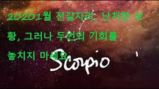 타로점 전갈자리  (10/23-11/21생일)  2020년 1월. 걱정을 하지 마세요