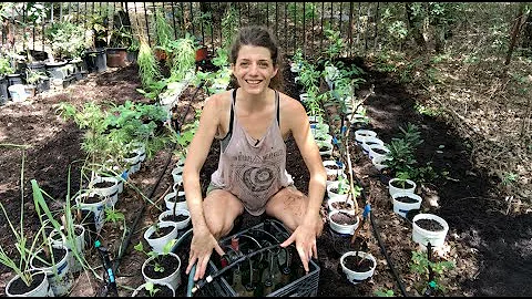 Forest Notes: Nursery Update! (& Irrigation)