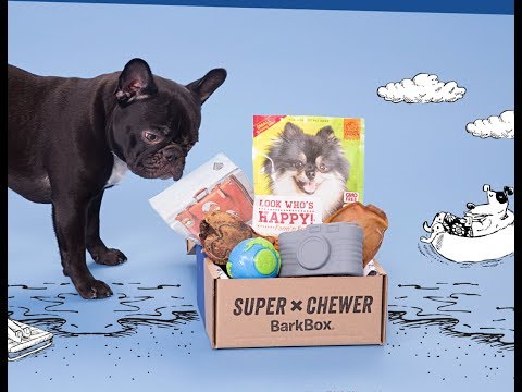 barkbox-super-chewer-review---dog-box-includes-dog-toys,-dog-clothes,-and-dog-treats-every-month