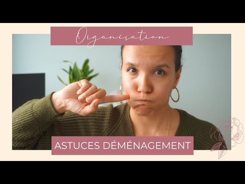 Vidéo: Comment Survivre Au Déménagement