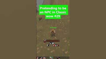 Pretending to be an NPC in classic wow part 29 (Bael