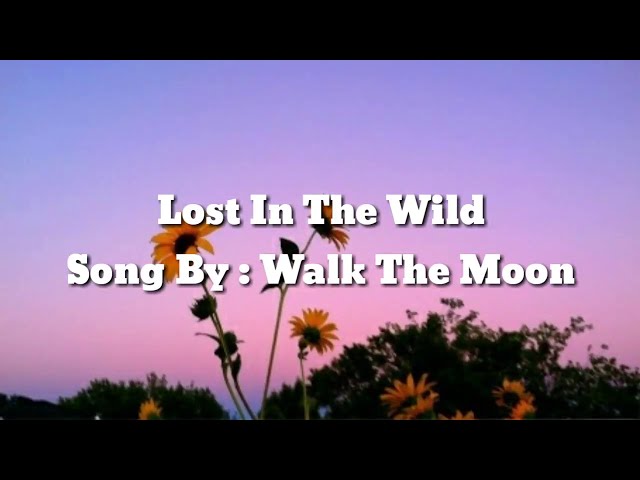 Lost In The Wild - Walk The Moon | Lyrics class=