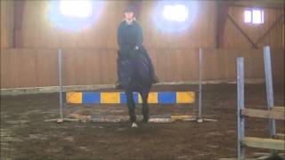 Beautiful And Easy Hunter For Sale
