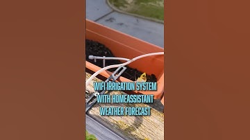Smart Irrigation: Automate Your Garden with Home Assistant