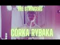 Córka Rybaka - Zespół The STRINGERS ( Rudi Schuberth COVER)
