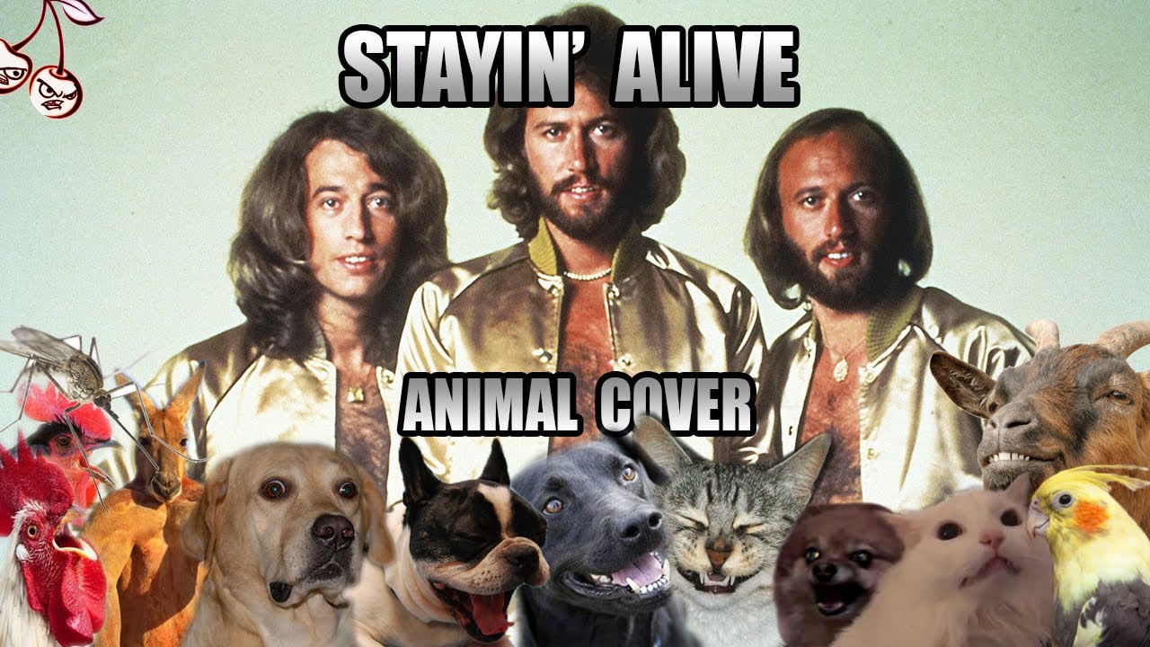 Bee Gees - Stayin&#39; Alive (Animal Cover)