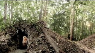 Bilinen En Eski Maya Takvimi Keşfedildi