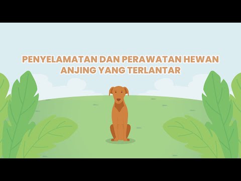 Video: Binatang Anjing Rasmi 12 AS