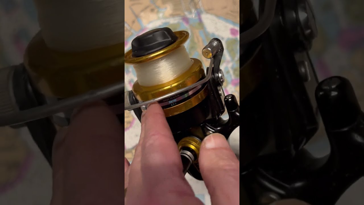 PENN REELS ペンリール スピンフィッシャー 650SS ナマジのブログ: PENNスピンフィッシャー棚卸し