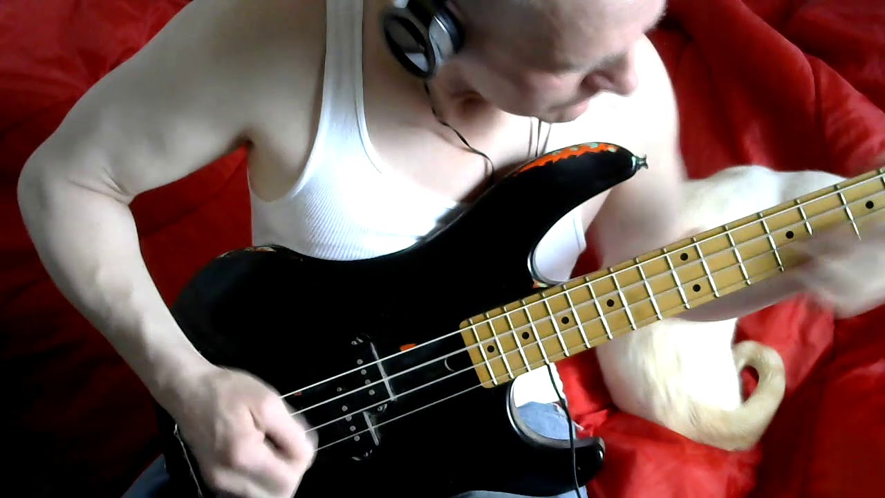 fast bass 🎸 guitar speed solo . distortion YouTube