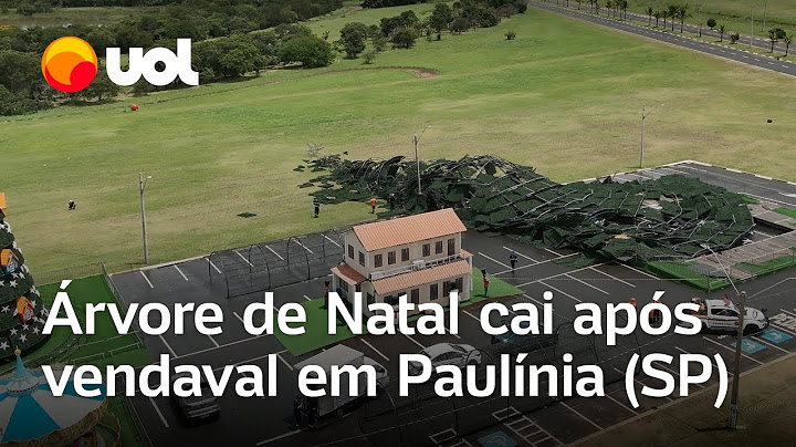 Imagens aéreas mostram árvore de Natal que caiu após vendaval em Paulínia (SP); veja