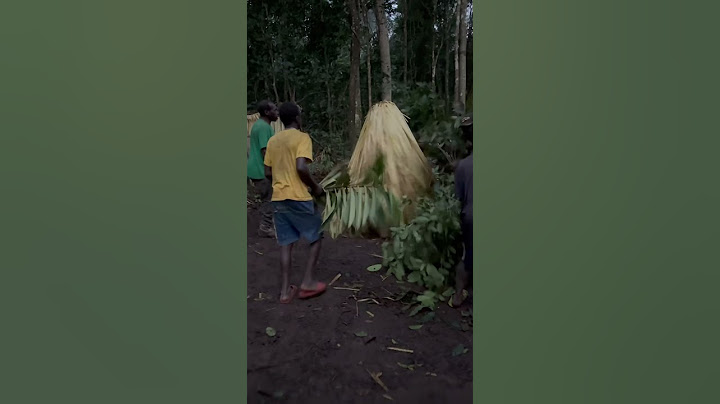 Documentando en África. Vivir con los Pigmeos Baka. Gengui, el espíritu de la selva. Camerun.