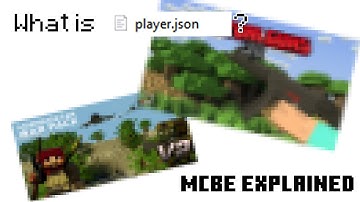 [MCBE] player.json explained (Add-on)