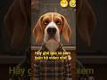 🐶 Stylish Dog Gets Drunk & Goes Crazy 😂🍷 | Funny Dog Shorts | Hãy ghé qua và xem toàn bộ video nhé!