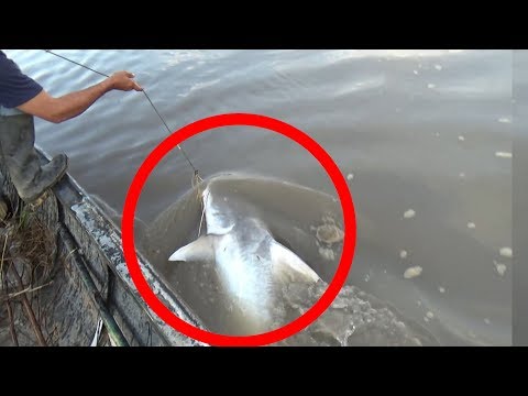 Sacando peces de