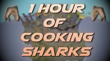 Cooking Raw Sharks | Testing OSRS Wiki Money Making Methods