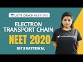 Electron Transport Chain | Plant Respiration - NCERT Review | NEET 2020 | Ritu Rattewal